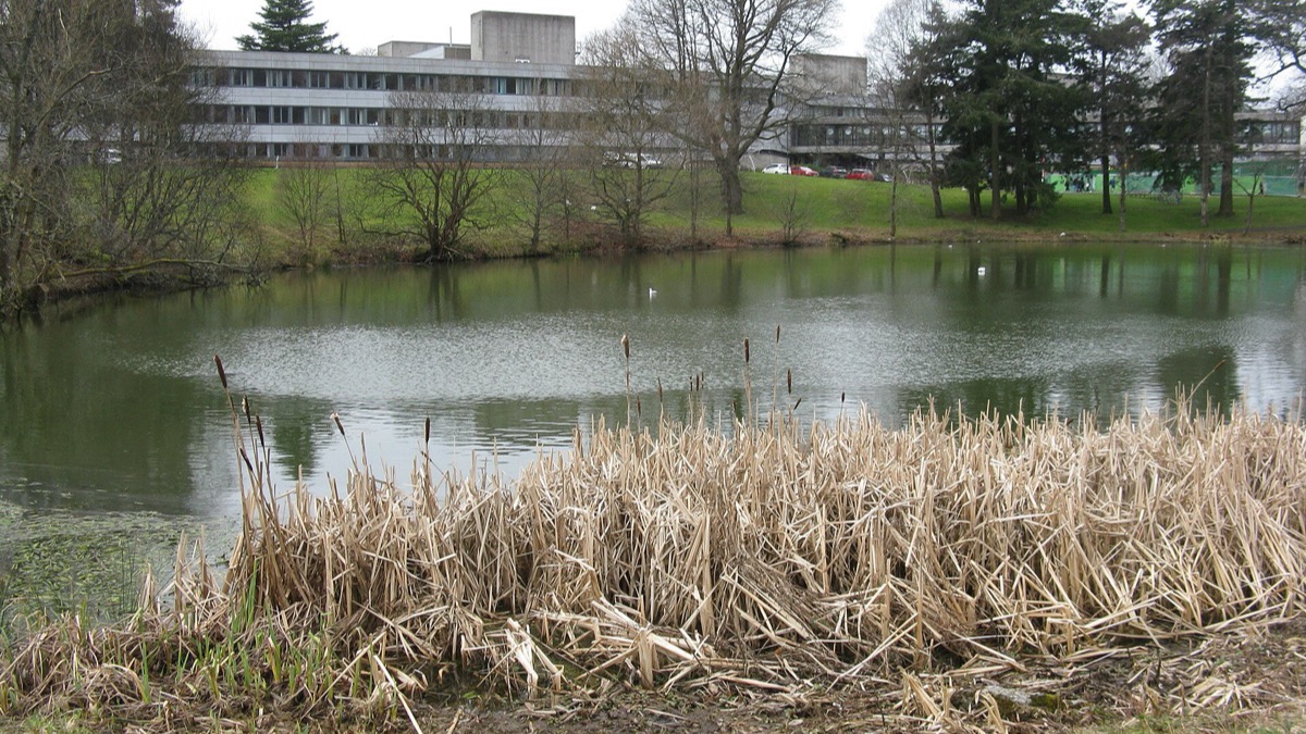 Nursing (Mental Health)